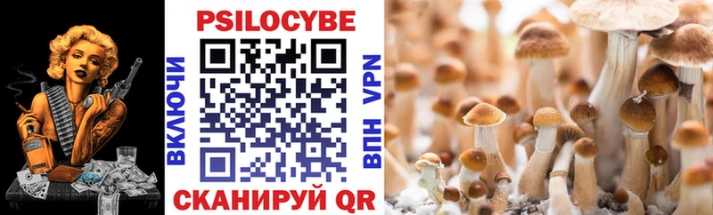 Псилоцибиновые грибы MAGIC MUSHROOMS  Заозёрный 